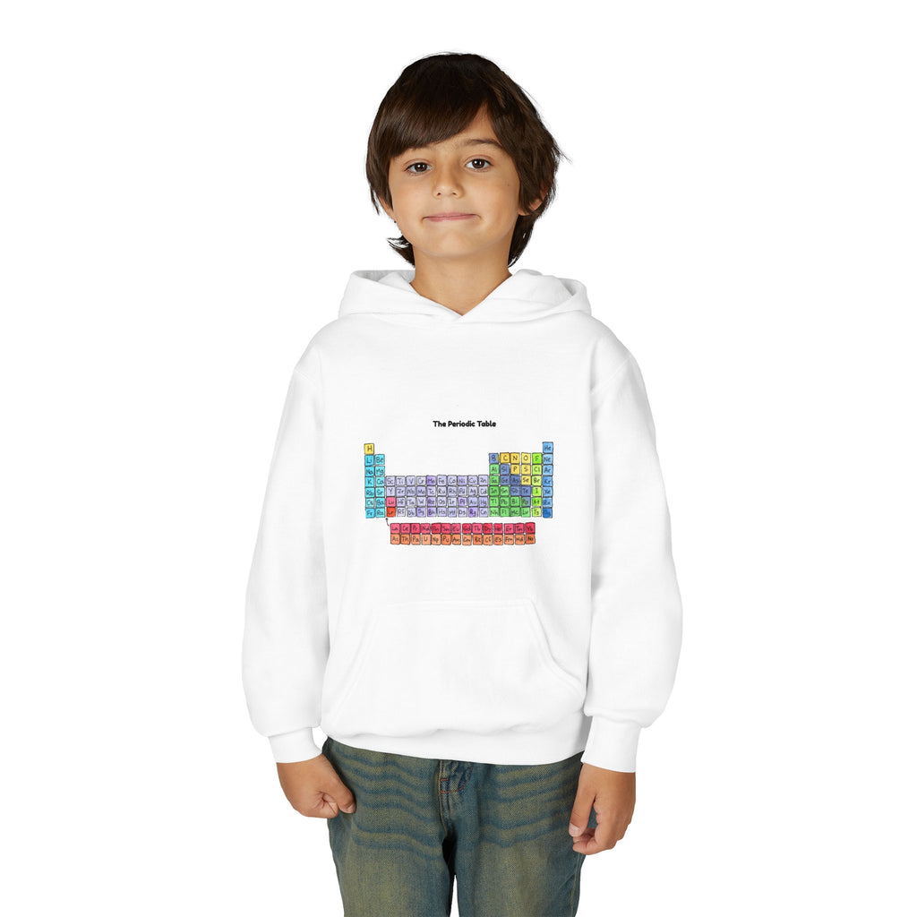 Youth Heavy Blend Hooded Sweatshirt (INTERNATIONAL SHIPPING)