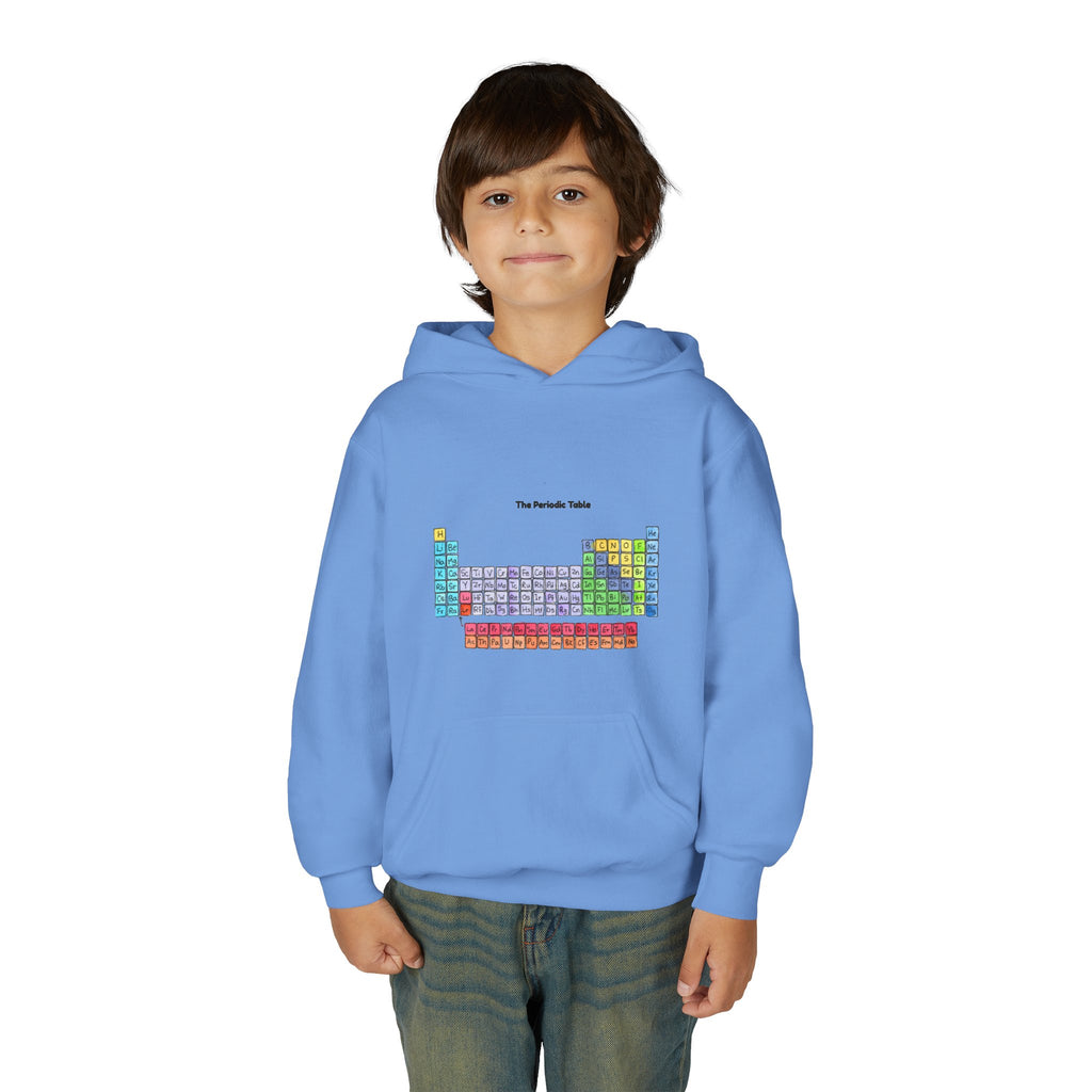 Youth Heavy Blend Hooded Sweatshirt (INTERNATIONAL SHIPPING)